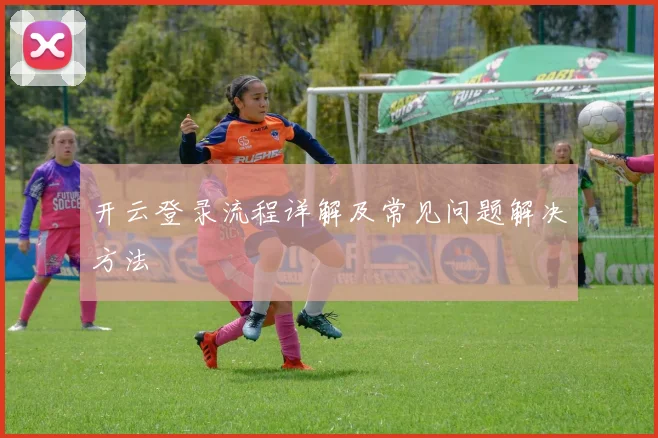 开云登录流程详解及常见问题解决方法