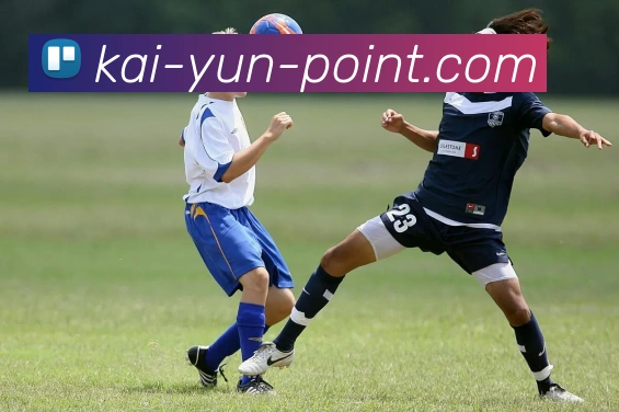 开云平台展示图