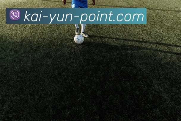 开云官网全站App